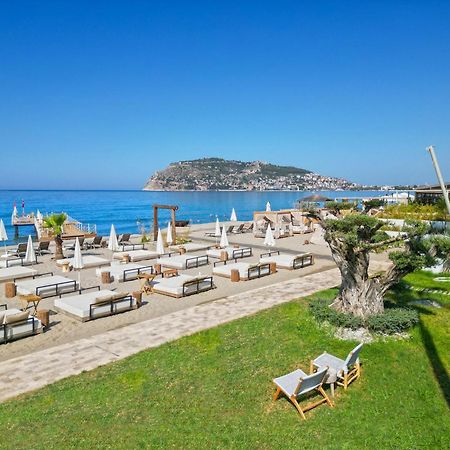 Day One Beach Resort & Spa - Adult Only Alanya Exterior photo Beach at the Hotel